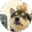 manyushib.app favicon